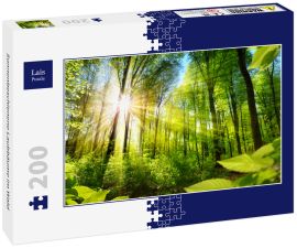 Lais Puzzle - Sonnenbeschienene Laubbäume im Wald - 200 Teile