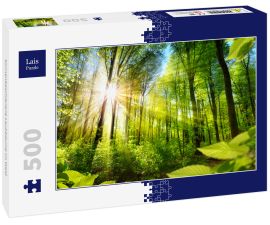 Lais Puzzle - Sonnenbeschienene Laubbäume im Wald - 500 Teile