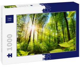Lais Puzzle - Sonnenbeschienene Laubbäume im Wald - 1.000 Teile