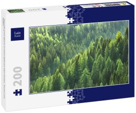 Lais Puzzle - Gesunde grüne Bäume in einem Wald aus alten Fichten, Tannen und Kiefern - 200 Teile