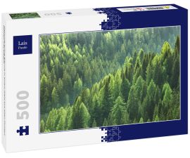 Lais Puzzle - Gesunde grüne Bäume in einem Wald aus alten Fichten, Tannen und Kiefern - 500 Teile