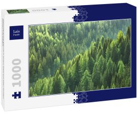 Lais Puzzle - Gesunde grüne Bäume in einem Wald aus alten Fichten, Tannen und Kiefern - 1.000 Teile