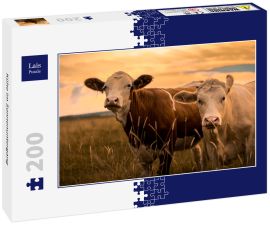 Lais Puzzle - Kühe im Sonnenuntergang - 200 Teile
