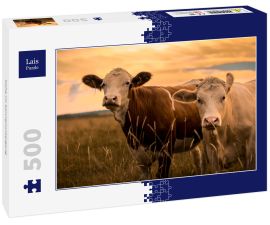 Lais Puzzle - Kühe im Sonnenuntergang - 500 Teile