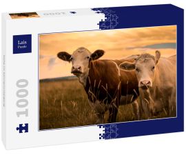 Lais Puzzle - Kühe im Sonnenuntergang - 1.000 Teile