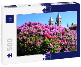 Lais Puzzle - Viborger Dom, Dänemark - 500 Teile