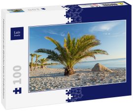 Lais Puzzle - Palmenstrand an der dänischen Küste in Frederikshavn - 100 Teile