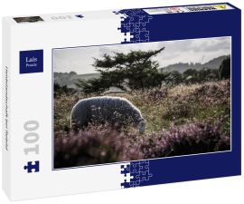 Lais Puzzle - Heidelandschaft bei Rebild - 100 Teile