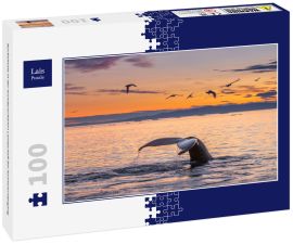 Lais Puzzle - Buckelwale in der wunderschönen Landschaft bei Sonnenuntergang - 100 Teile
