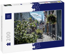 Lais Puzzle - Mechelsestraat Leuven, Belgien - 200 Teile