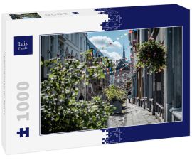 Lais Puzzle - Mechelsestraat Leuven, Belgien - 1.000 Teile