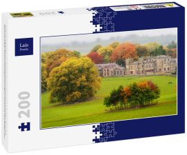 Lais Puzzle - Zurück in die Vergangenheit: unter einem grauen Himmel an einem herrlichen Herbstmorgen, allein in einem Park, der nur von Rehen, Pferden und Kühen begleitet wird, Lough Fea, Carrickmacross, County Monaghan, Irland - 200 Teile