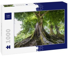 Lais Puzzle - Großer alter Baum - 1.000 Teile