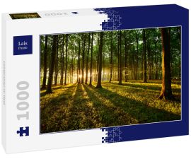 Lais Puzzle - Lichtstrahlen im Wald - 1.000 Teile
