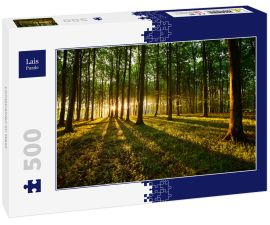 Lais Puzzle - Lichtstrahlen im Wald - 500 Teile