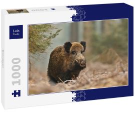 Lais Puzzle - Wildschwein - 1.000 Teile