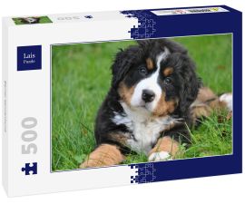 Lais Puzzle - Berner Sennenhund - 500 Teile