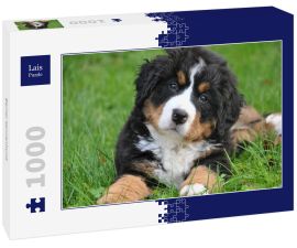 Lais Puzzle - Berner Sennenhund - 1.000 Teile