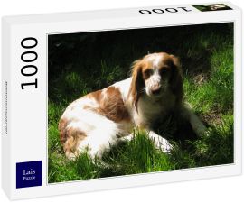 Lais Puzzle - Bretonenspaniel - 1.000 Teile