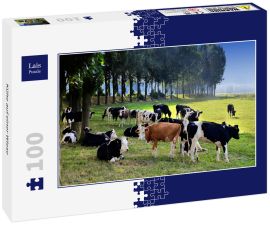 Lais Puzzle - Kühe auf einer Wiese - 100 Teile