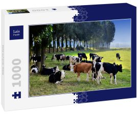 Lais Puzzle - Kühe auf einer Wiese - 1.000 Teile