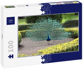 Lais Puzzle - Pfau - 100 Teile