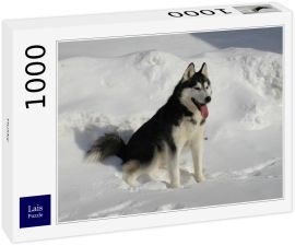 Lais Puzzle - Husky - 1.000 Teile