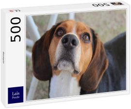 Lais Puzzle - Beagle - 500 Teile