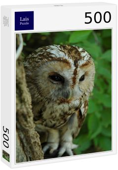 Lais Puzzle - Eule - 500 Teile