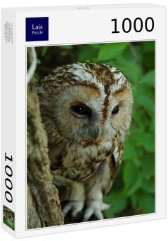 Lais Puzzle - Eule - 1.000 Teile
