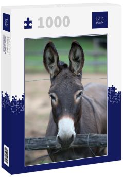 Lais Puzzle - Esel - 1.000 Teile