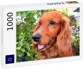 Lais Puzzle - Cocker Spaniel - 1.000 Teile