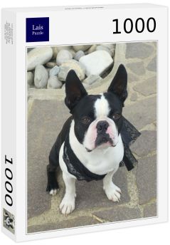 Lais Puzzle - Boston Terrier - 1.000 Teile