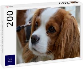 Lais Puzzle - Cavalier King Charles Spaniel - 200 Teile