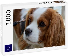 Lais Puzzle - Cavalier King Charles Spaniel - 1.000 Teile