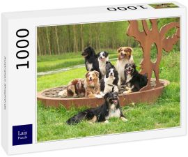 Lais Puzzle - Australian Shepherds - 1.000 Teile