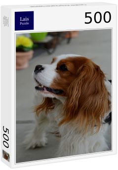 Lais Puzzle - Cavalier King Charles Spaniel - 500 Teile