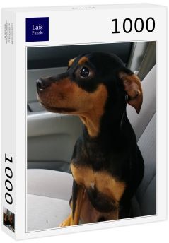 Lais Puzzle - Pinscher - 1.000 Teile