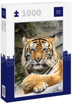 Lais Puzzle - Tiger - 1.000 Teile