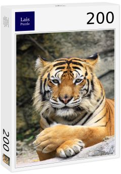 Lais Puzzle - Tiger - 200 Teile