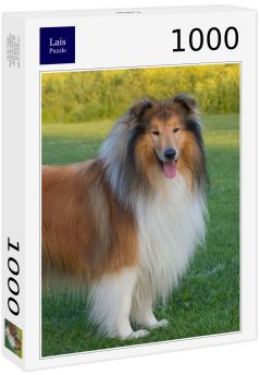 Lais Puzzle - Collie - 1.000 Teile