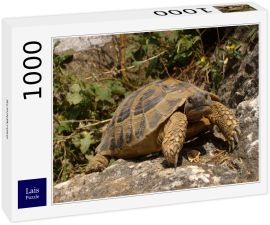 Lais Puzzle - Schildkröte - 1.000 Teile