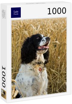 Lais Puzzle - Springer Spaniel - 1.000 Teile