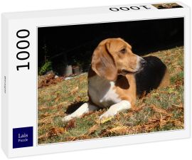 Lais Puzzle - Beagle - 1.000 Teile
