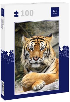Lais Puzzle - Tiger - 100 Teile