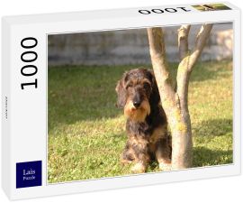 Lais Puzzle - Dackel - 1.000 Teile