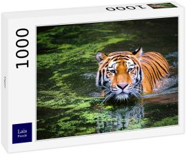 Lais Puzzle - Tiger - 1.000 Teile