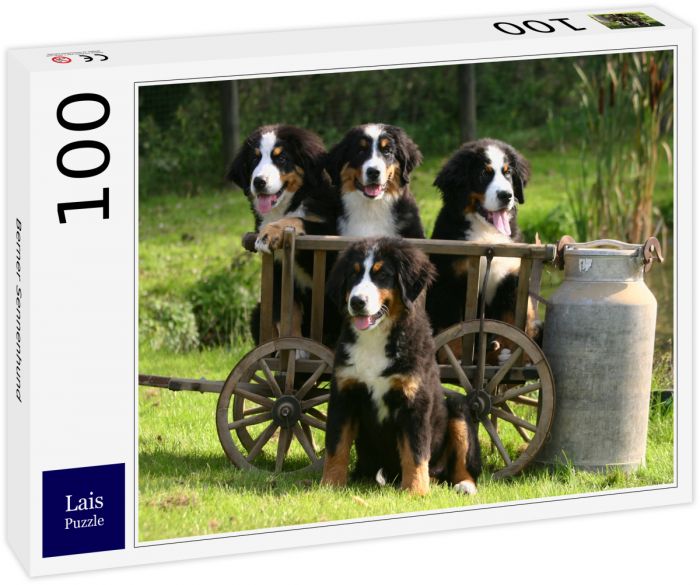 Box 100 Teile Puzzle